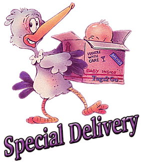 T2Go-Stork-Special-Delivery